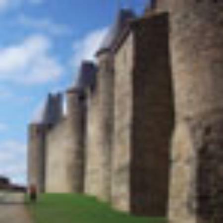 Golden Krust Patties